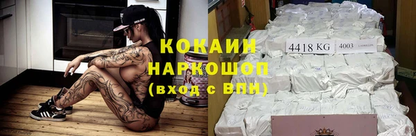 гашик Алексин