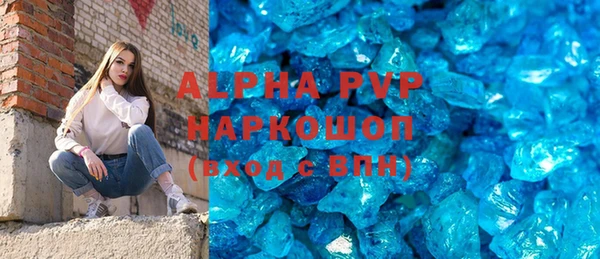 гашик Алексин