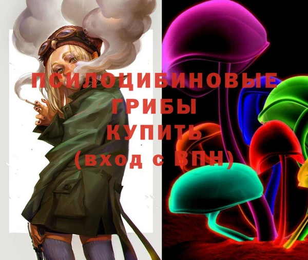 марихуана Абаза